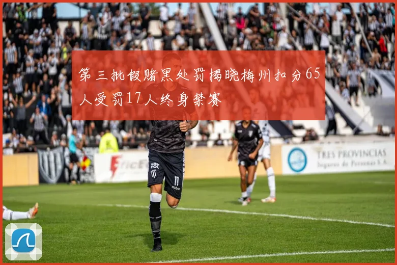 第三批假赌黑处罚揭晓梅州扣分65人受罚17人终身禁赛
