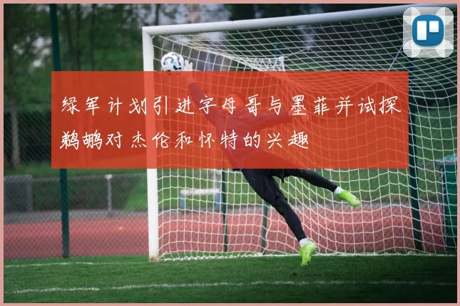 绿军计划引进字母哥与墨菲并试探鹈鹕对杰伦和怀特的兴趣